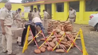 गांजा जब्त