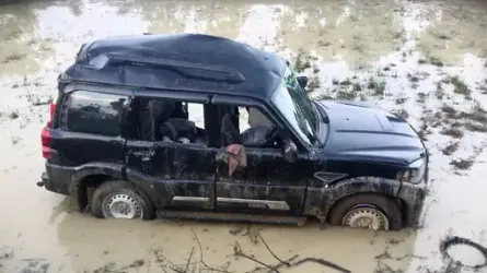 सड़क दुर्घटना