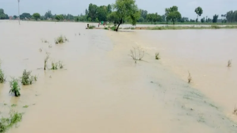बारिश