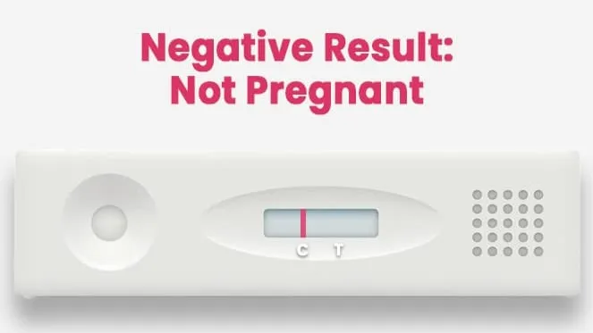 Pregnanct Test