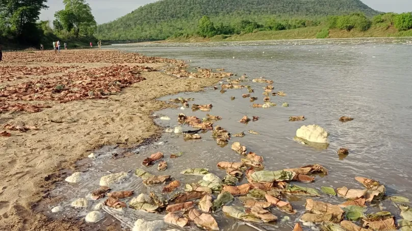 बारिश में बहा तेंदूपत्ता