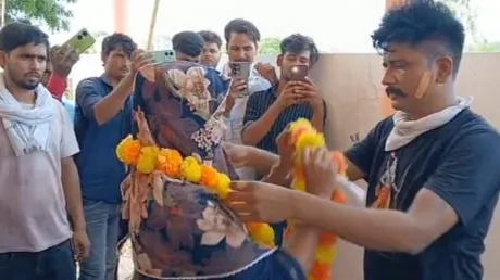 अनोखी शादी