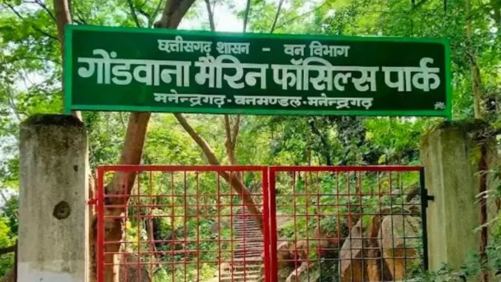 गोंडवाना मैरील फॉसिल्स पार्क