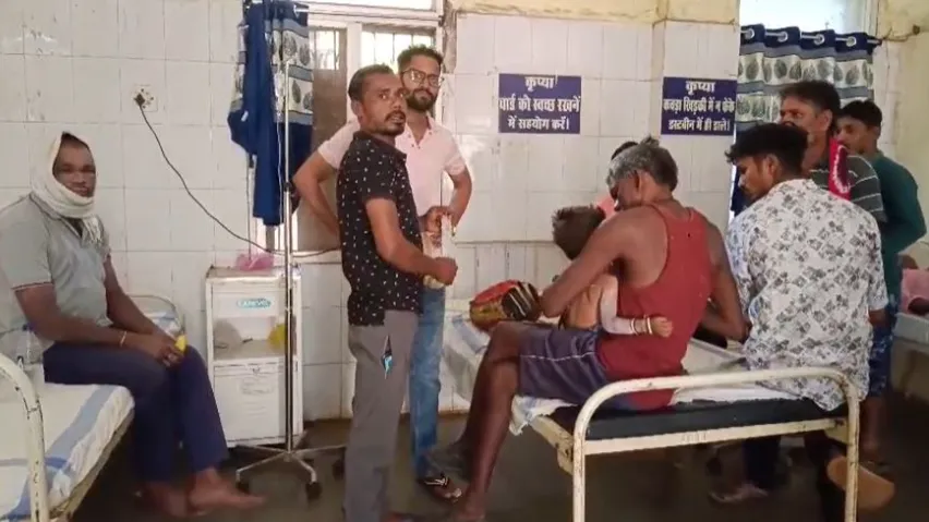 मधुमक्खियों का हमला
