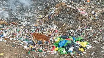 मेडिकल वेस्ट-दंतेवाड़ा