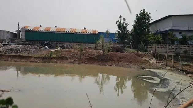 पनीर फैक्ट्री 