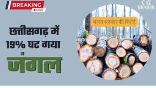 छत्तीसगढ़ में 19% घट गया जंगल