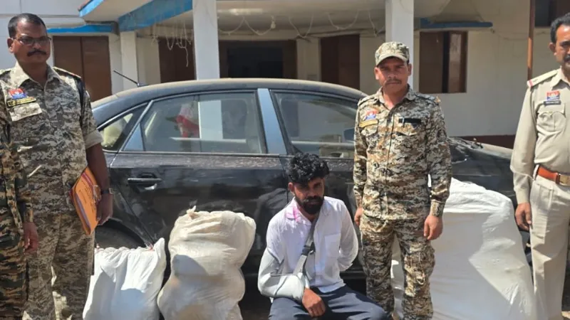 गांजा तस्कर गिरफ्तार