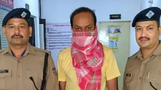 साइबर ठग