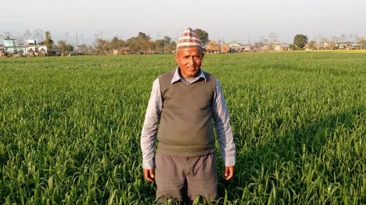नेपाल का खेत