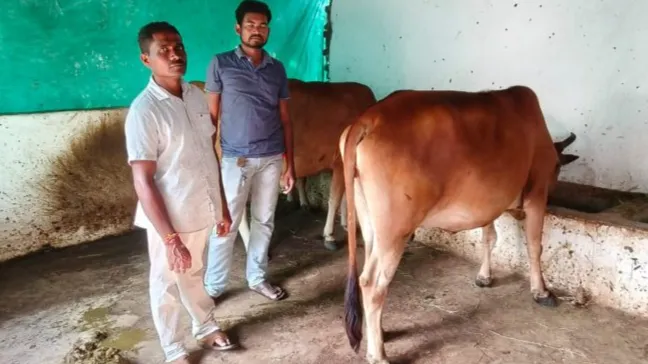 पीड़ित किसान
