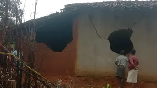 हाथी