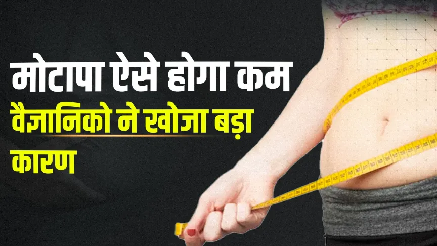 मोटापा