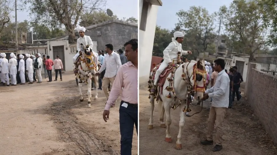 दलित दूल्हा
