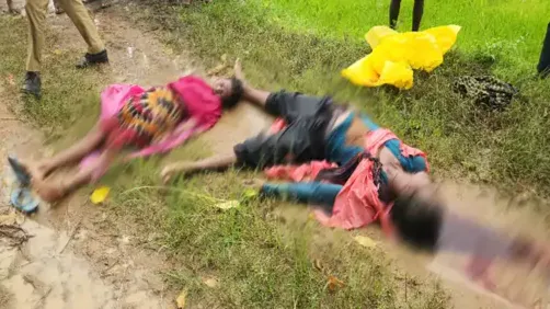  गाज से पति-पत्नी की मौत
