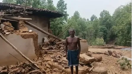 Elephant herd triggers panic in Korba village