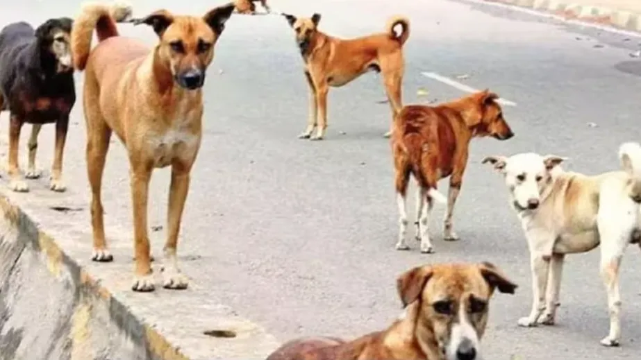 कुत्ता