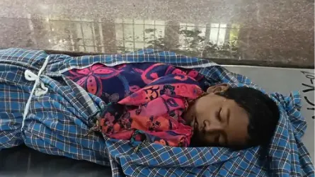 शव