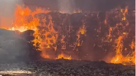 Two major fires in Bijapur and Bastar destroy thousands of tendu leaf sacks