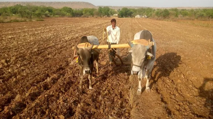 पीएम किसान सम्मान निधि