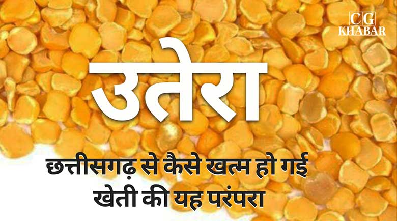 छत्तीसगढ़ में उतेरा खेती अब बीते दिनों की बात