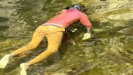 लाश