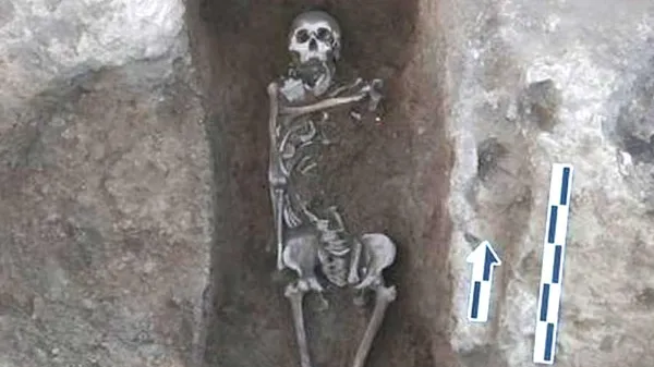 कंकाल