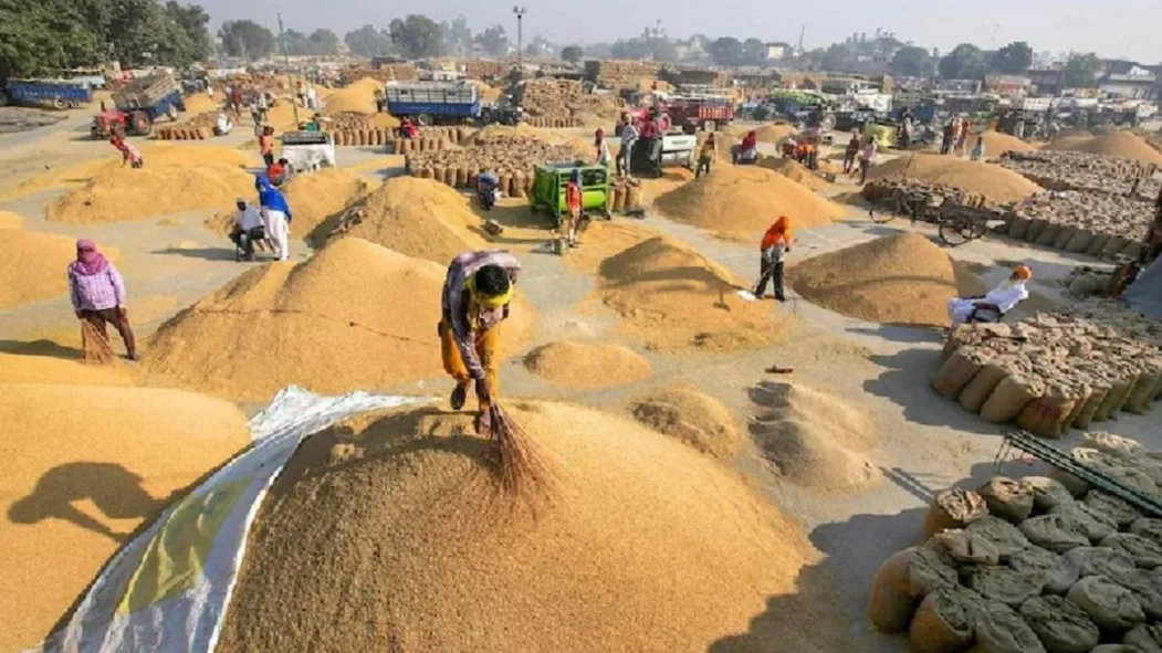 छत्तीसगढ़ के किसान धान