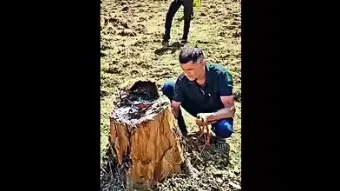 उदंती-सीतानदी टाइगर रिजर्व