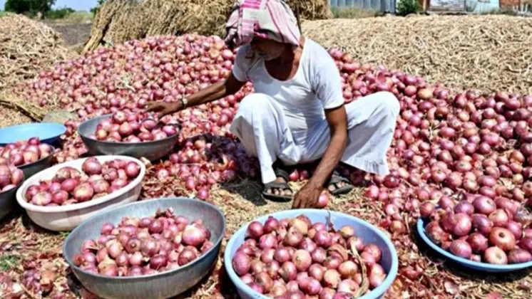 प्याज किसान
