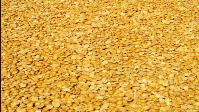 छत्तीसगढ़ में दलहन की खेती 