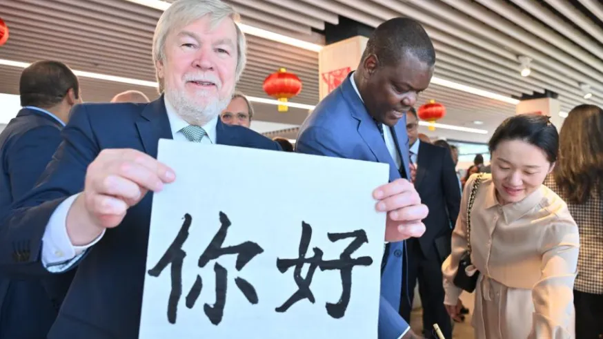 UN Chinese Language day