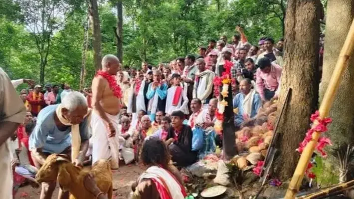न्यायालय