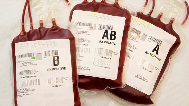 Blood