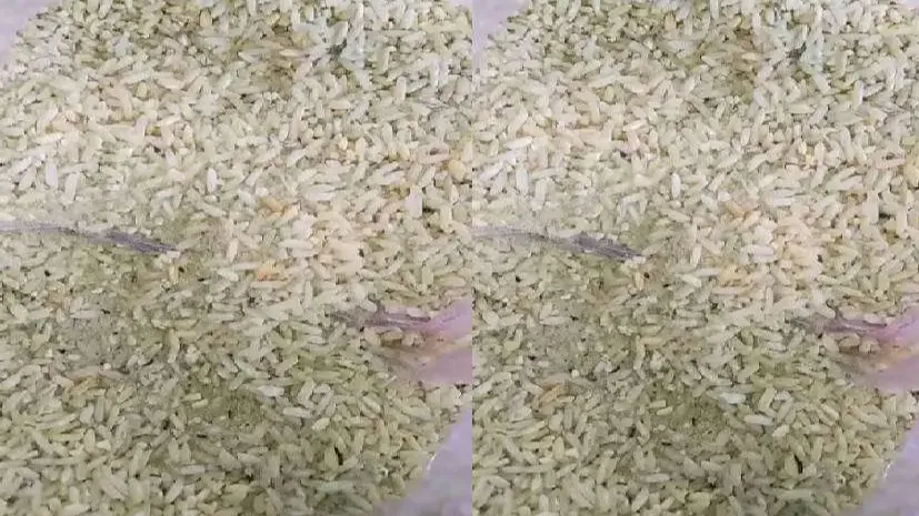 चावल उत्सव 