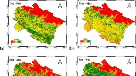उत्तराखंड वनस्पति