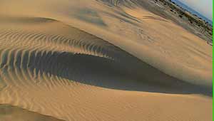 रेगिस्तान