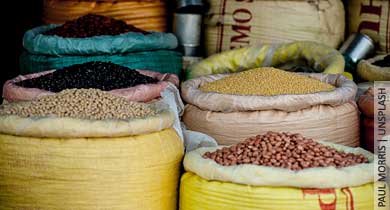 दाल चावल अनाज का बाजार और भारत